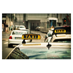 Ruolo conducenti: prima sessione 2026