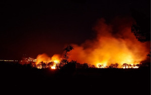 Istituzione periodo a rischio incendi boschivi dal 13 giugno 2026