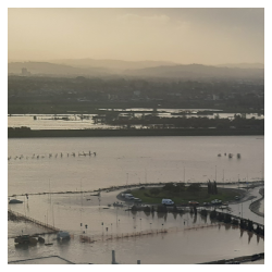 Alluvione, assistenza delle Associazioni dei Consumatori