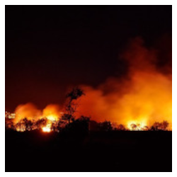 Periodo a rischi incendi boschivi dal 21 giugno 2025