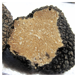 Percorso formativo di 8 ore per rinnovo tesserino: proroga scadenza iscrizioni